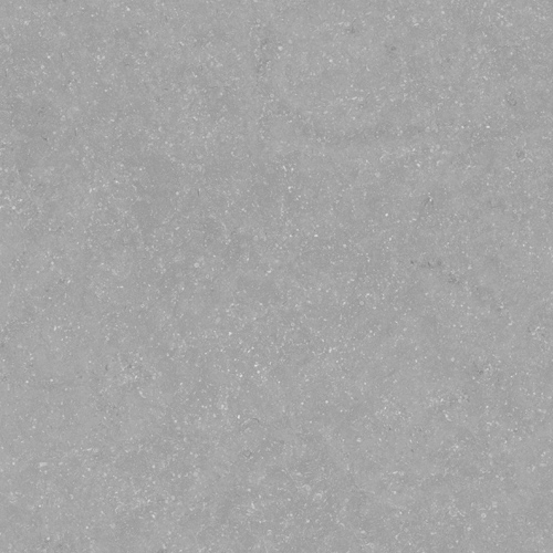 Belga Grey